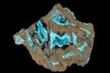 Fibrous Rosasite & Aurichalcite Crystal Association - Mexico #119216-1
